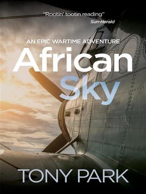 cover image of African Sky